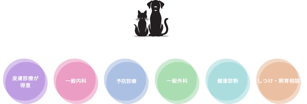診療案内