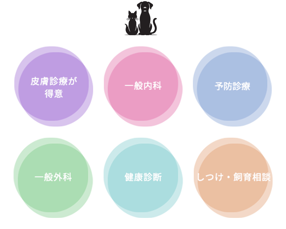 診療案内